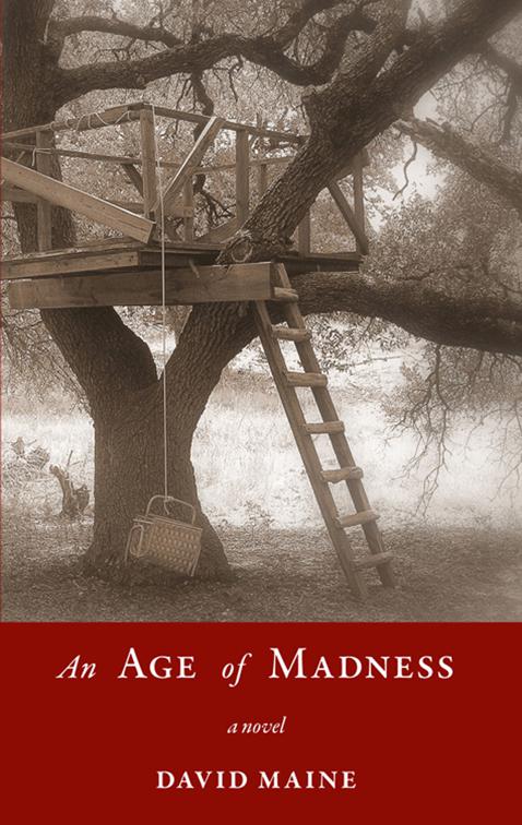 Age of Madness