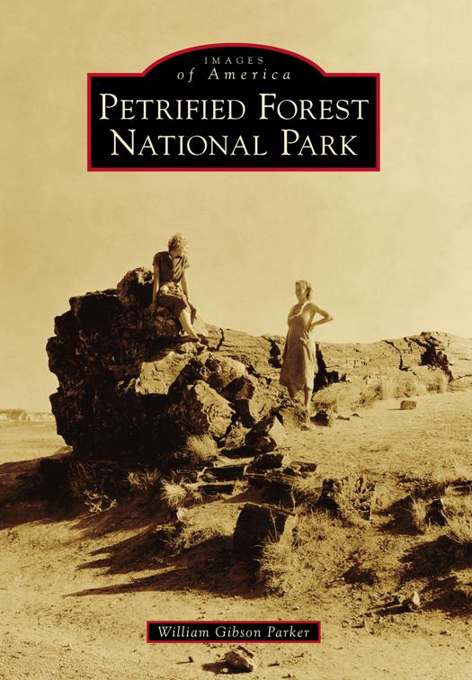 This image is the cover for the book Petrified Forest National Park, Images of America
