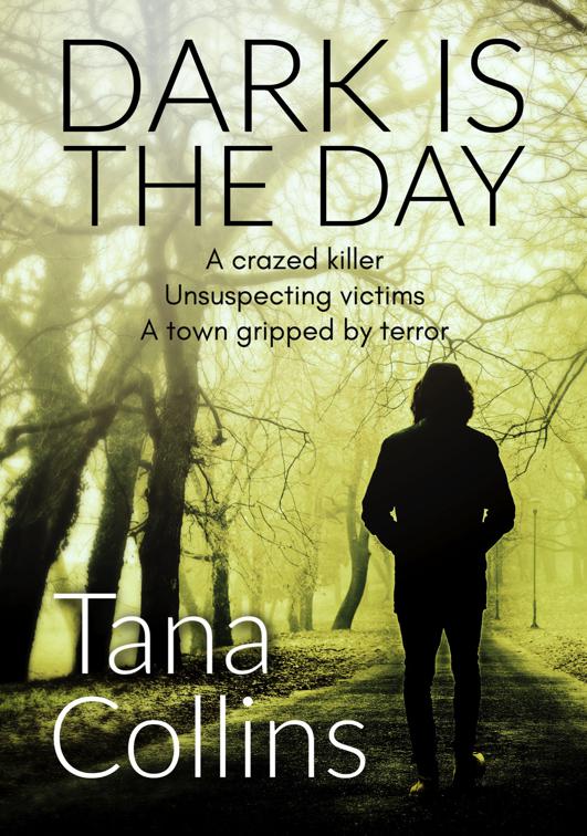 Dark Is the Day, The Inspector Jim Carruthers Thrillers
