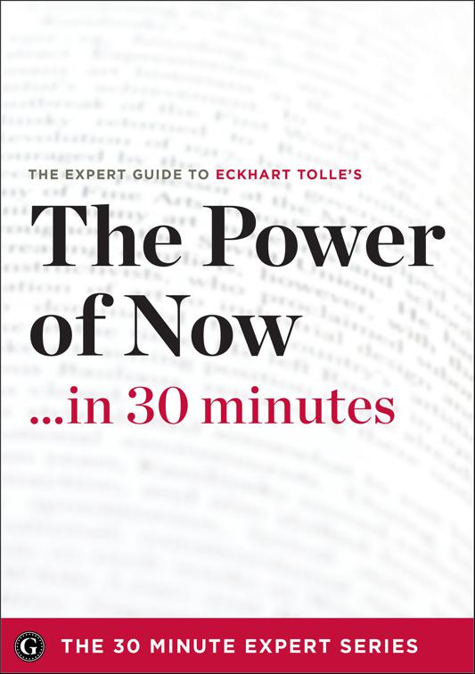 Power of Now . . . in 30 Minutes