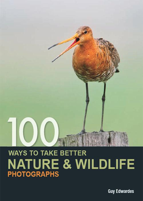 100 Ways to Take Better Nature &amp; Wildlife Photographs