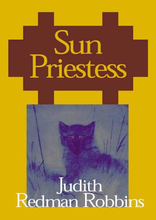 This image is the cover for the book Sun Priestess