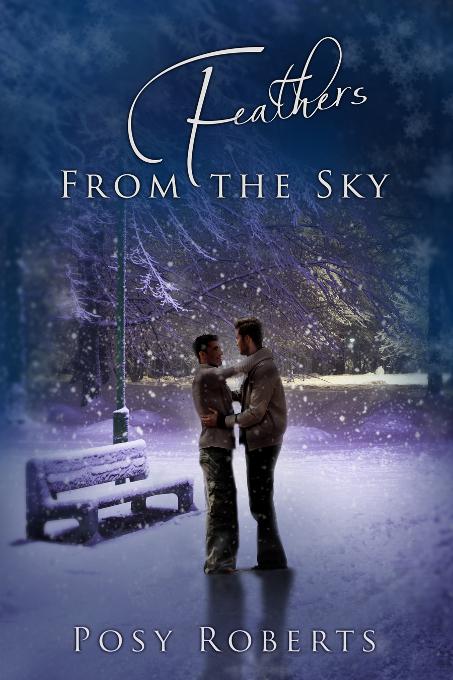 Feathers From the Sky, 2013 Advent Calendar - Heartwarming