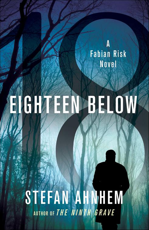 Eighteen Below, Fabian Risk Series