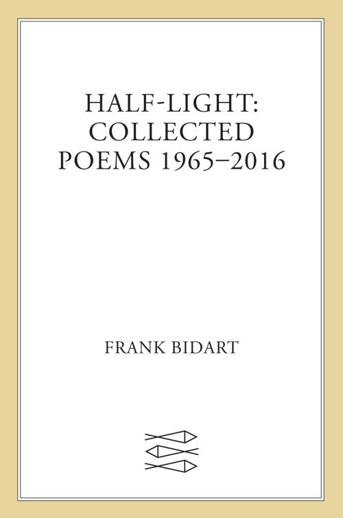 Half-Light