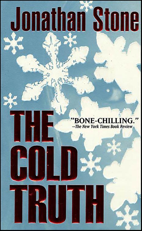 Cold Truth, Julian Palmer Thrillers