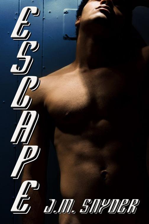This image is the cover for the book Escape
