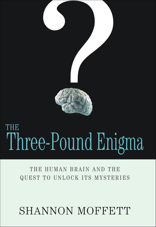 Three-Pound Enigma