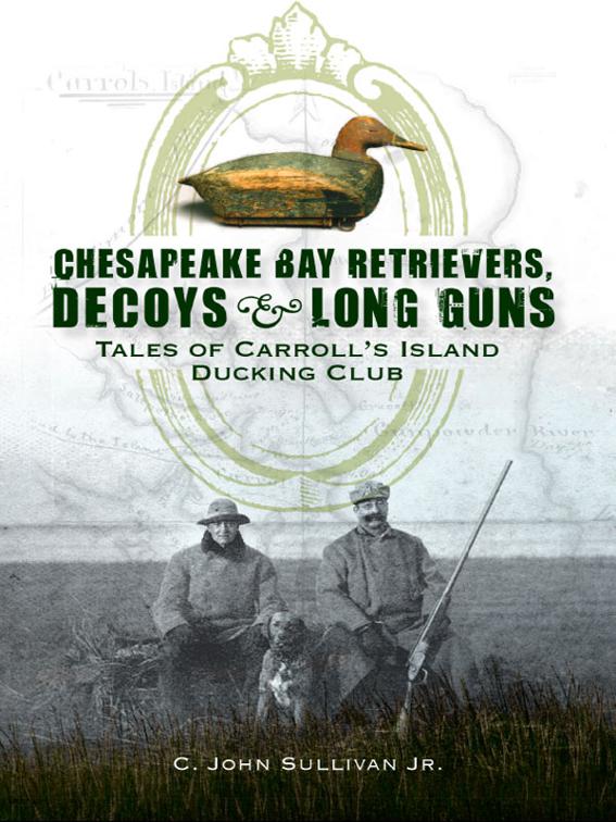Chesapeake Bay Retrievers, Decoys &amp; Long Guns