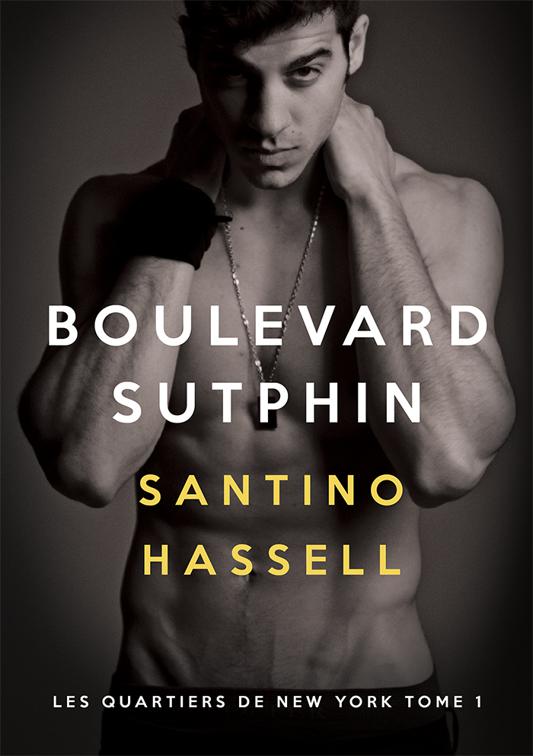 This image is the cover for the book Boulevard Sutphin, Les quartiers de New York
