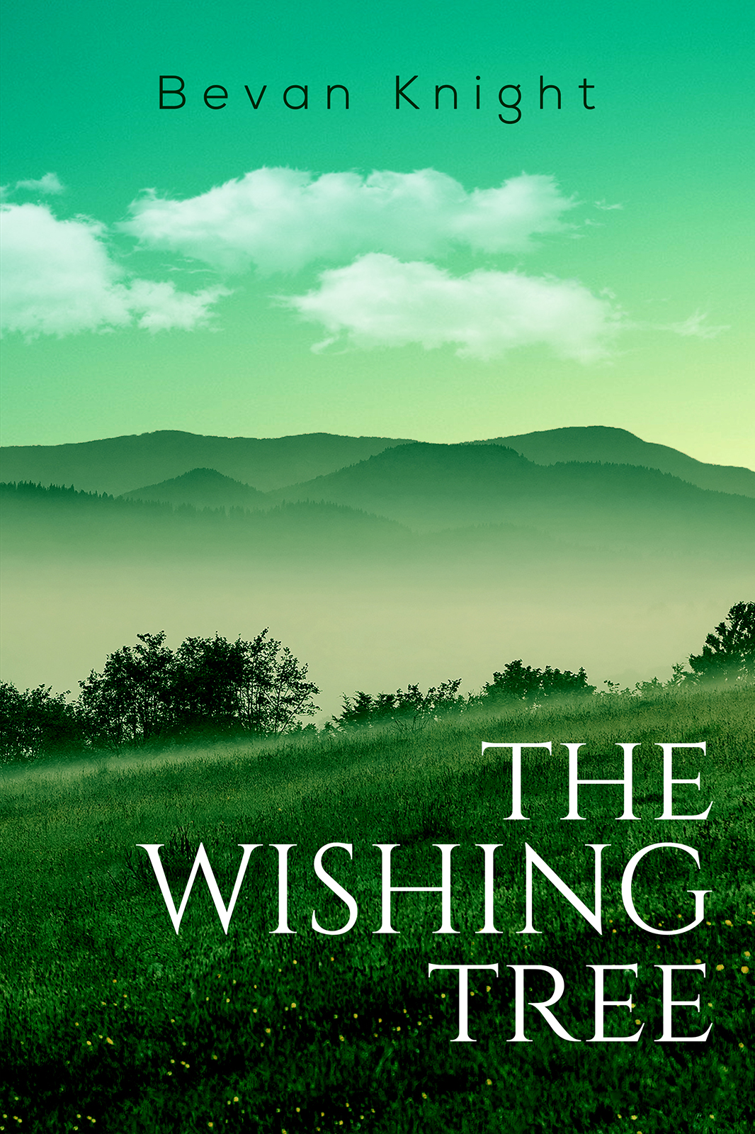 This image is the cover for the book The Wishing Tree