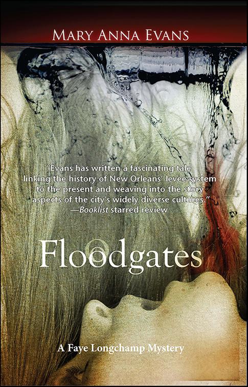 Floodgates, Faye Longchamp Archaeological Mysteries