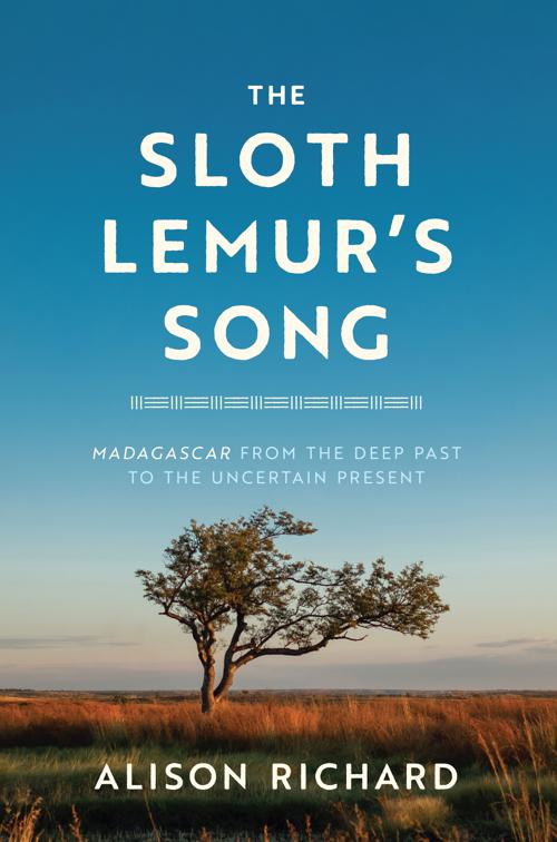 Sloth Lemur&#x27;s Song