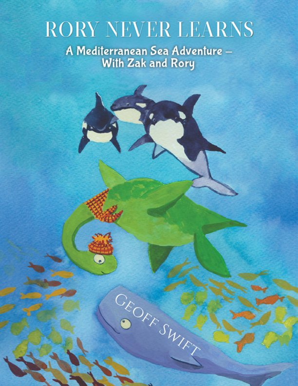This image is the cover for the book Rory Never Learns