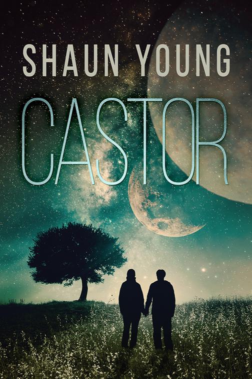 This image is the cover for the book Castor
