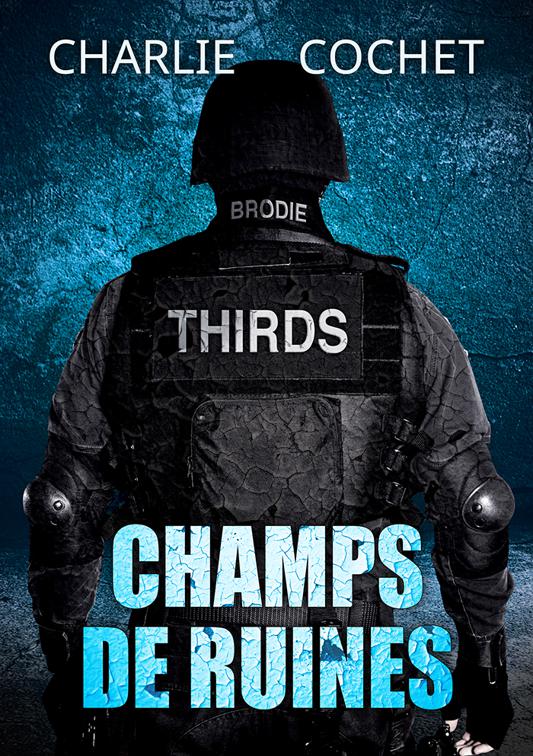This image is the cover for the book Champs de ruines, THIRDS