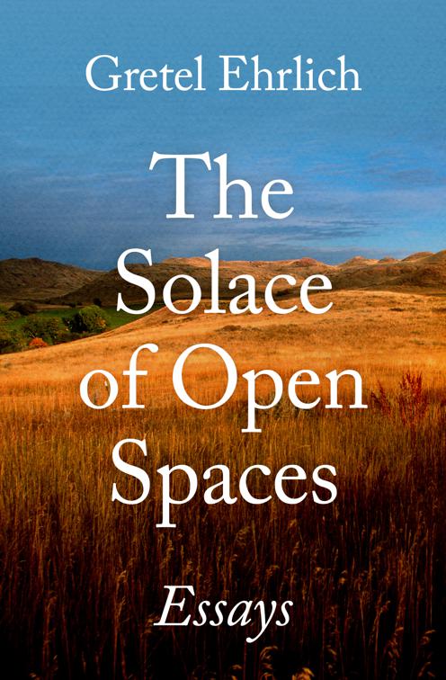 Solace of Open Spaces