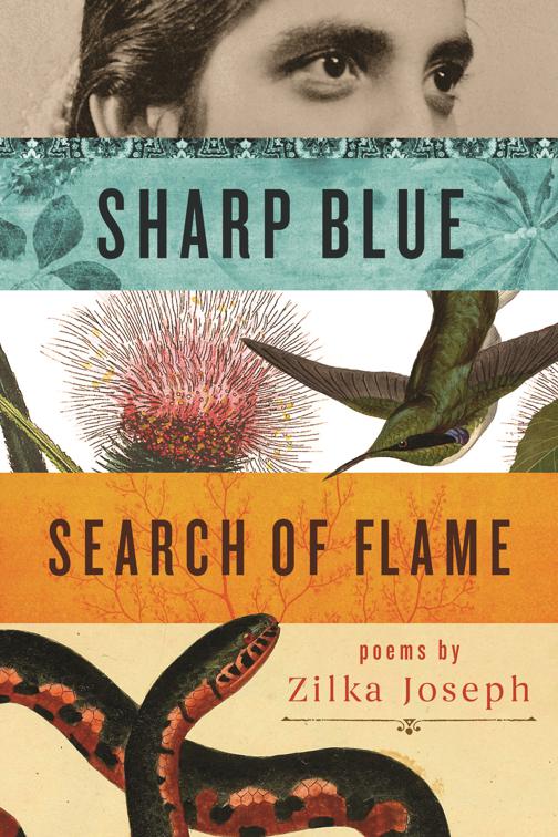 Sharp Blue Search of Flame, Made in Michigan Writers Series