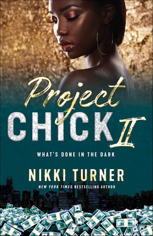 Project Chick 2: What&#x27;s Done in the Dark