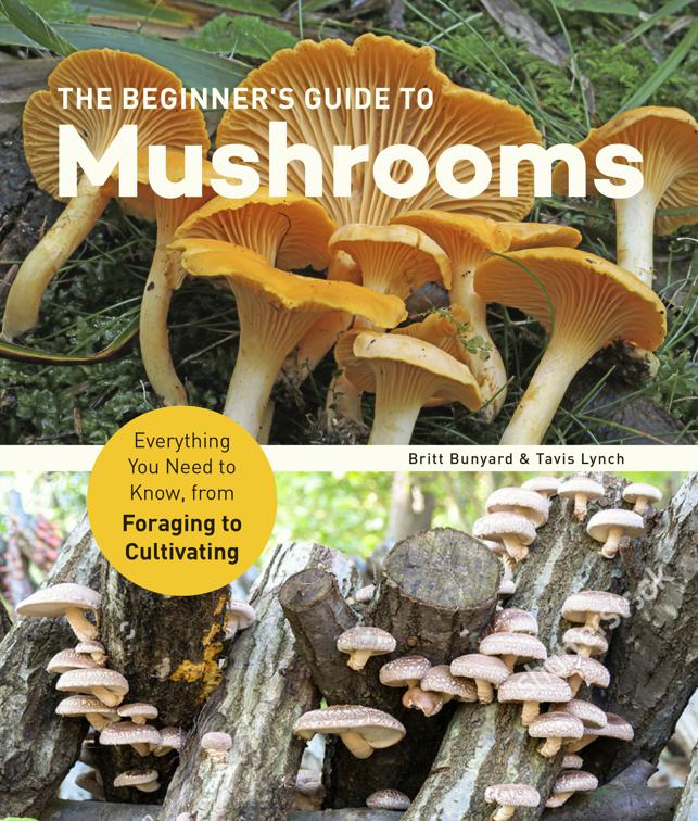 Beginner&#x27;s Guide to Mushrooms