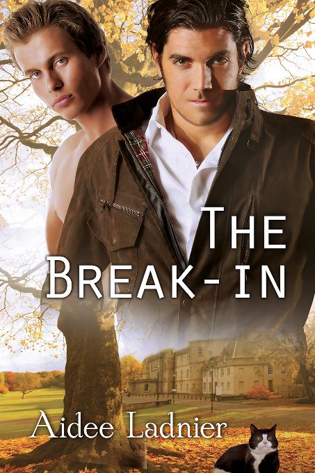 The Break-in, Busted Labs