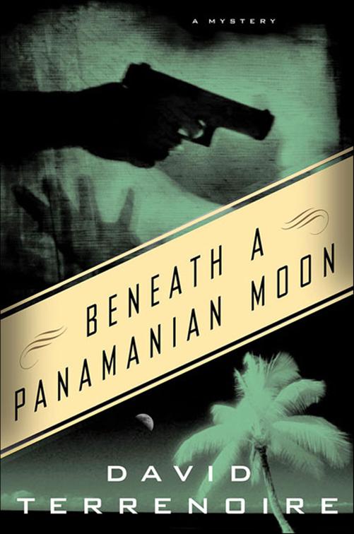 Beneath a Panamanian Moon