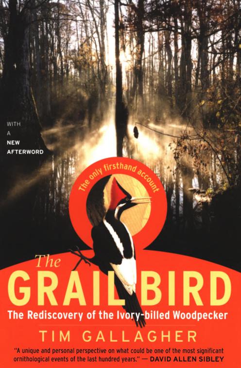 Grail Bird