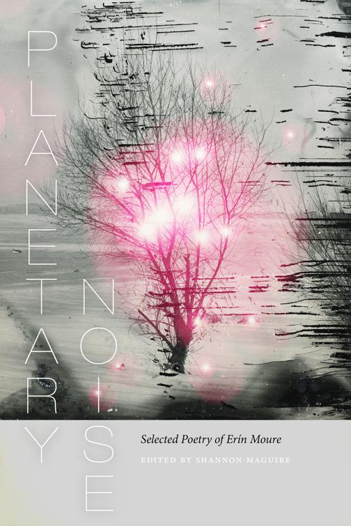 Planetary Noise, Wesleyan Poetry Series