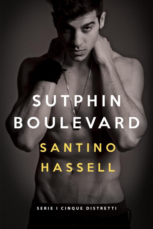 Sutphin Boulevard (Italiano), Serie I cinque distretti