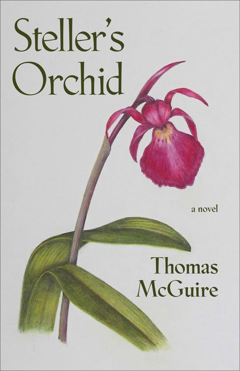 Steller&#x27;s Orchid