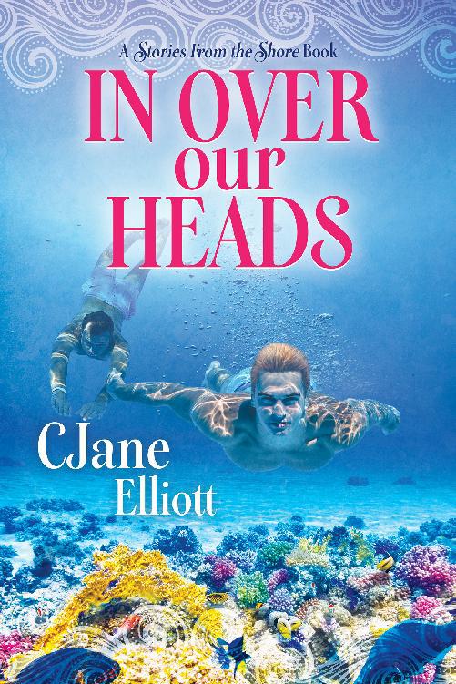 This image is the cover for the book In Over Our Heads, Stories From the Shore