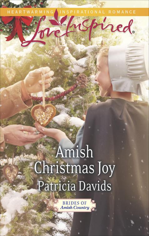 Amish Christmas Joy, Brides of Amish Country