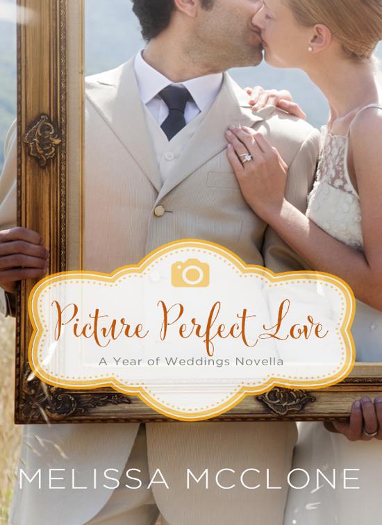 Picture Perfect Love, Year of Weddings Novellas