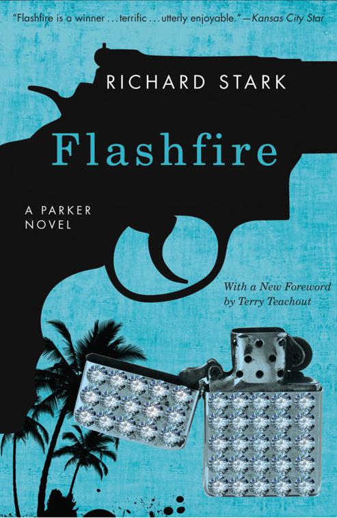 Flashfire, The Parker Novels