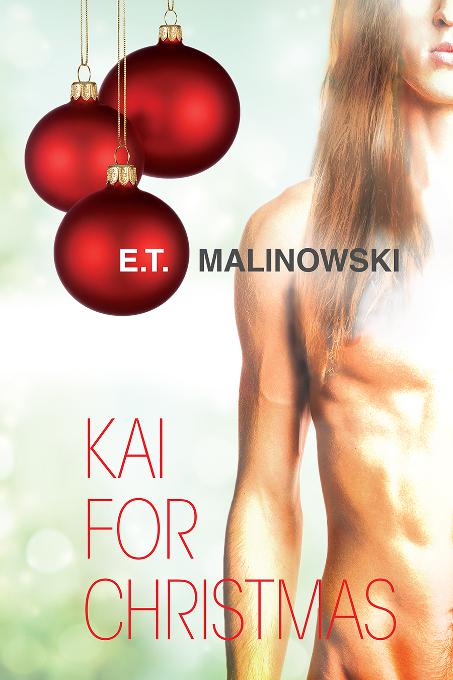 This image is the cover for the book Kai for Christmas