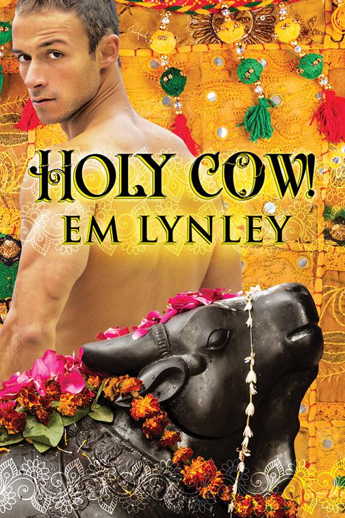This image is the cover for the book Holy Cow!