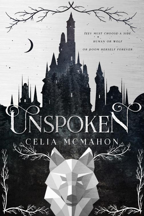 Unspoken, Unspoken