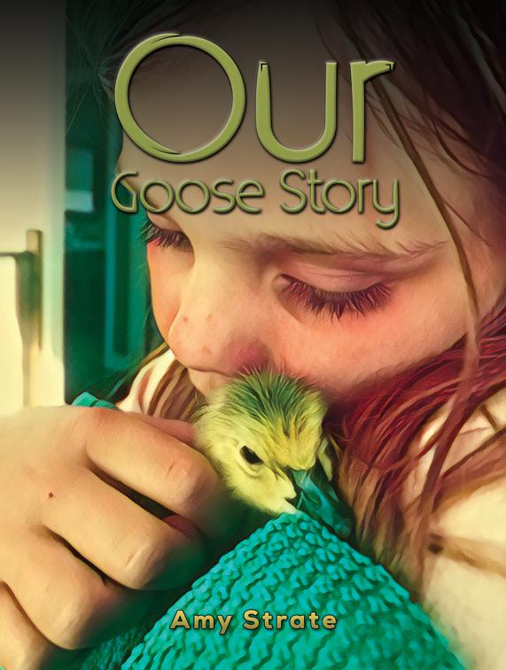 Our Goose Story