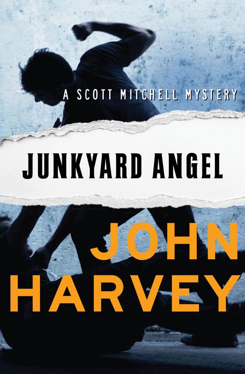 Junkyard Angel, The Scott Mitchell Mysteries