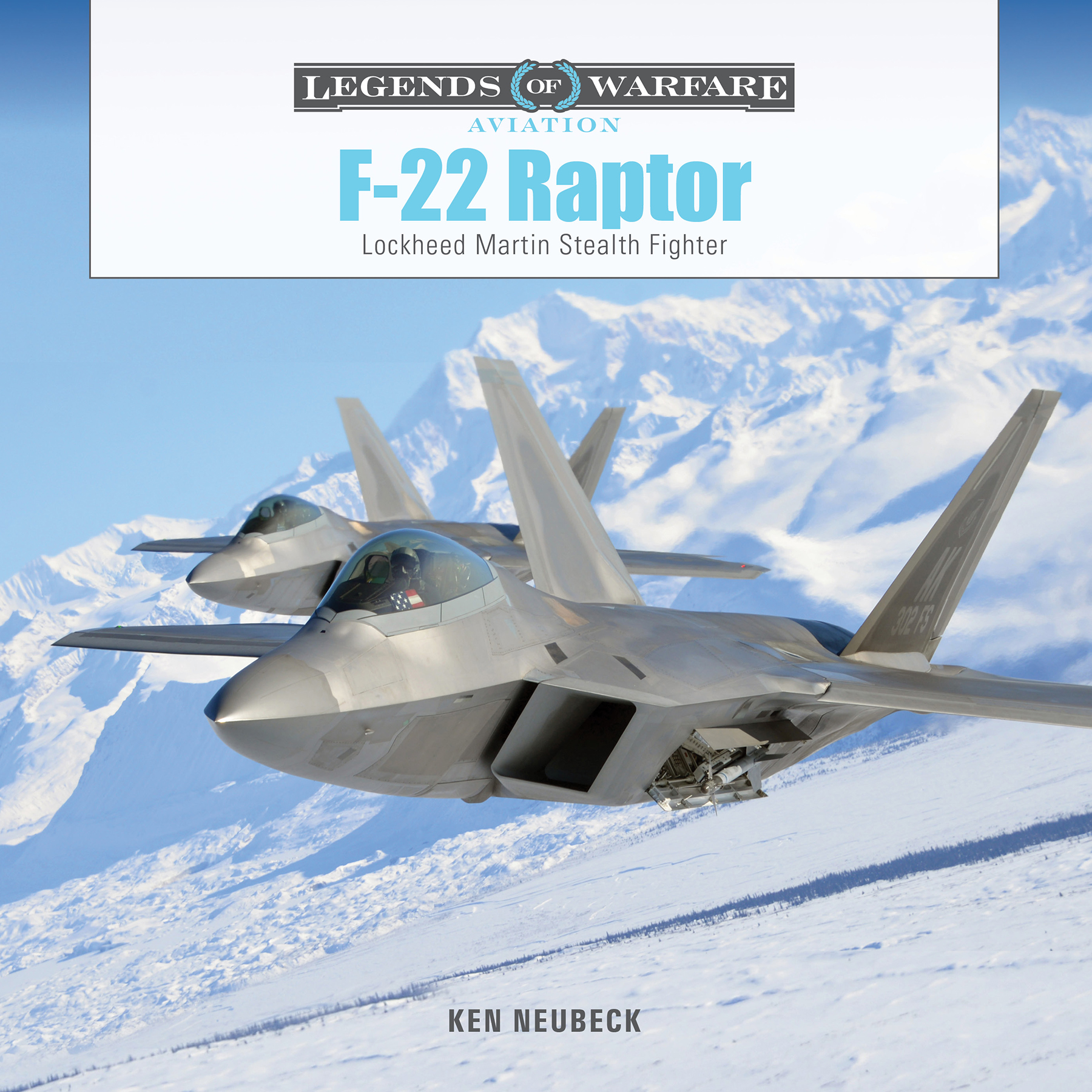 This image is the cover for the book F-22 Raptor