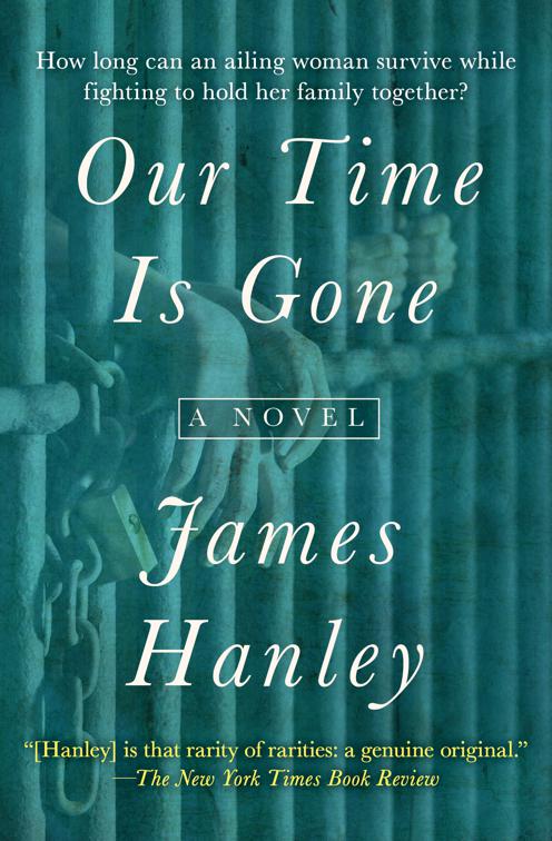 Our Time Is Gone, The Furys Saga