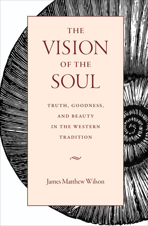 Vision of the Soul