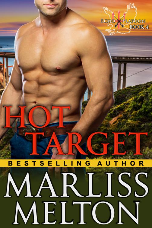 Hot Target (The Echo Platoon Series, Book 4), The Echo Platoon Series