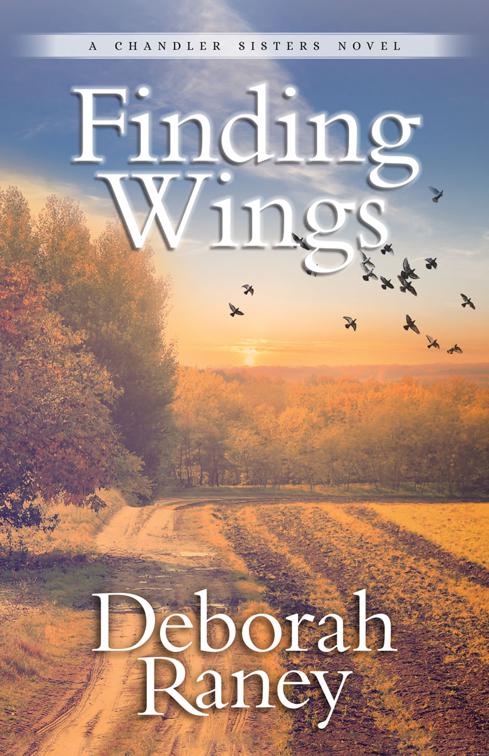 This image is the cover for the book Finding Wings, Chandler Sisters