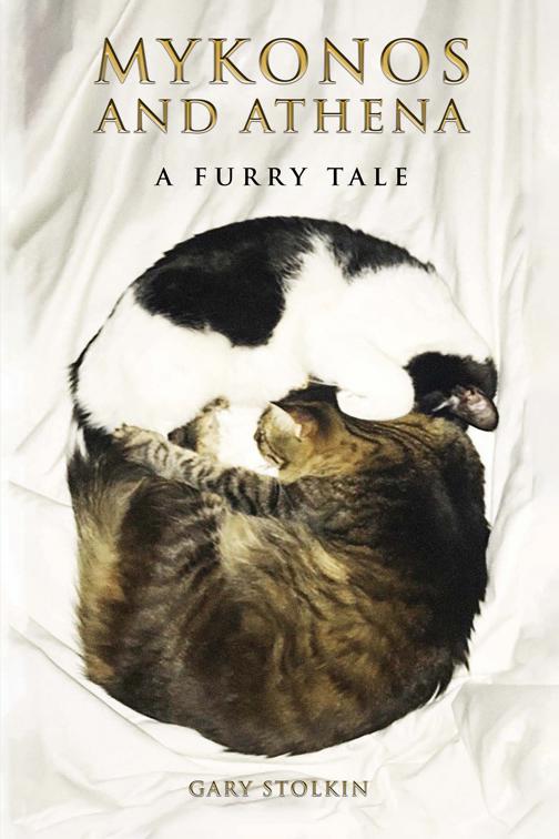 Mykonos and Athena – A Furry Tale