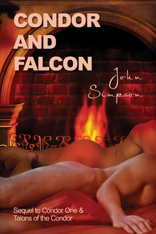 This image is the cover for the book Condor and Falcon, Condor One Series