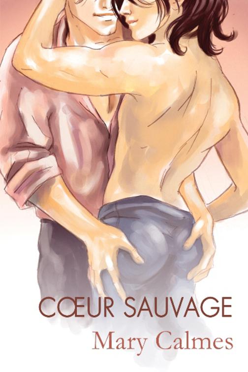 This image is the cover for the book Cœur sauvage, Le Clan des Panthères