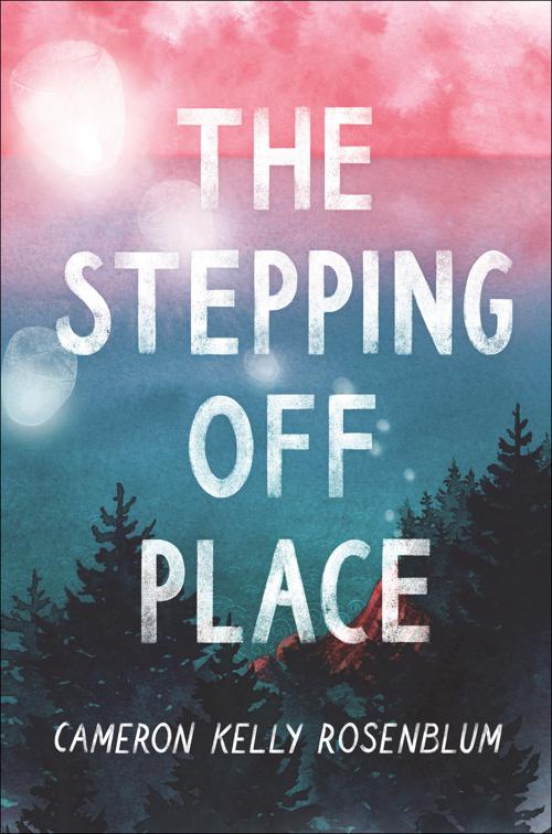 This image is the cover for the book Stepping Off Place