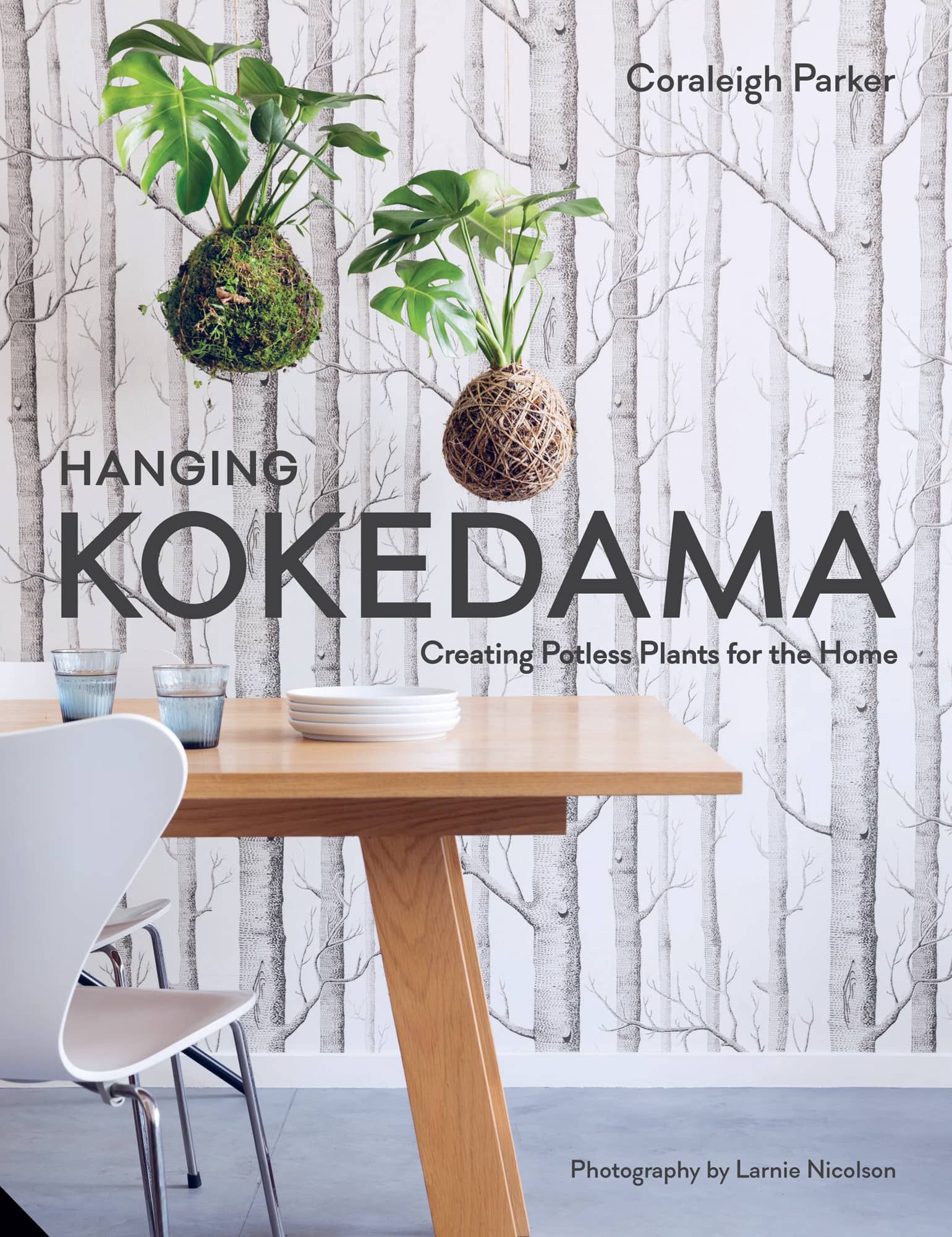 Hanging Plants