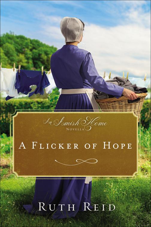 Flicker of Hope, Amish Home Novellas